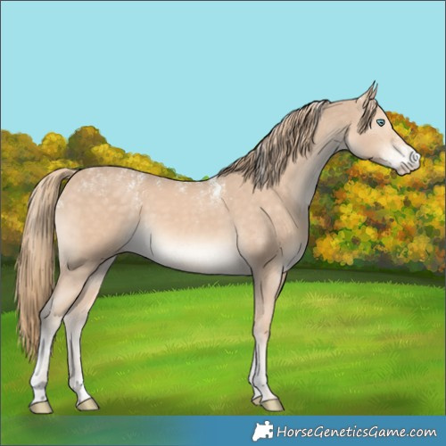 Horse Color:Powder White Perlino 