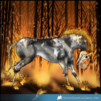 Horse Color:Gray White Spotted Black Tobiano 