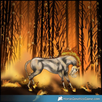 Horse Color:Buckskin Pearl Varnish 