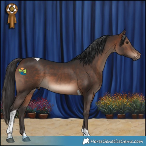 Horse Color:Brown Tobiano 