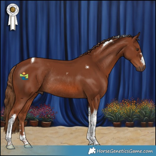 Horse Color:Chestnut Tobiano Rabicano 