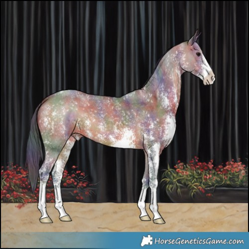 Horse Color:Nacre Brown Sabino 