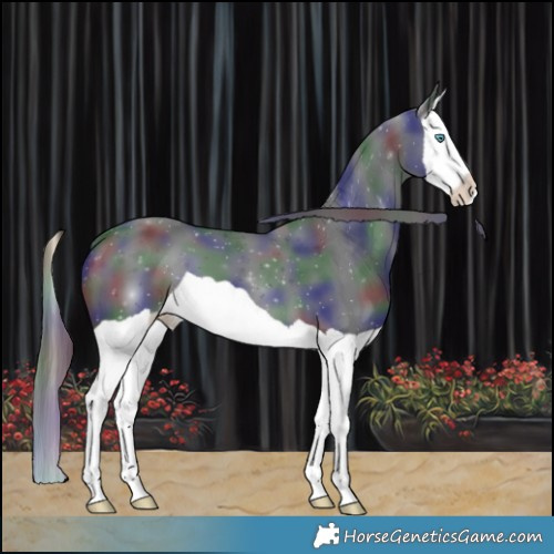 Horse Color:Nacre Black Splash 