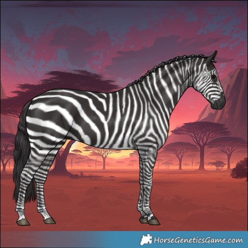 Horse Color:Smoky Black