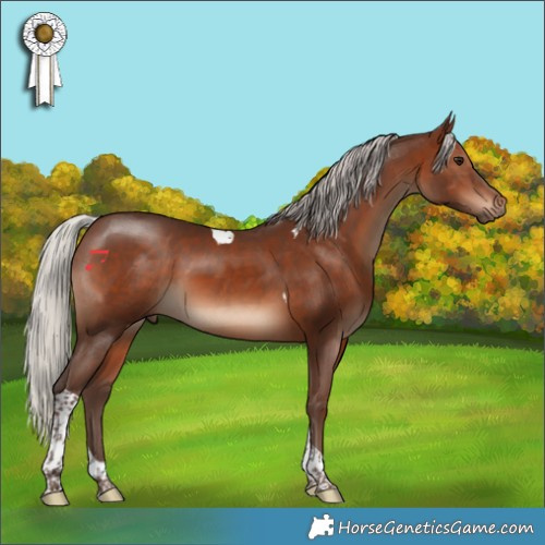 Horse Color:Silver Brown Tobiano 