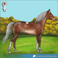 Horse Color:Silver Brown Tobiano