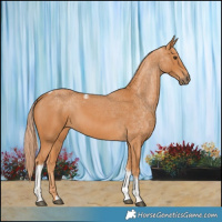 Horse Color:Chestnut Tobiano