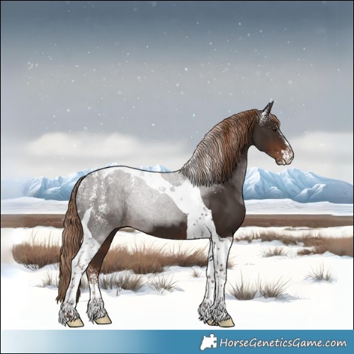 Horse Color:Powder White Liver Chestnut Tobiano 