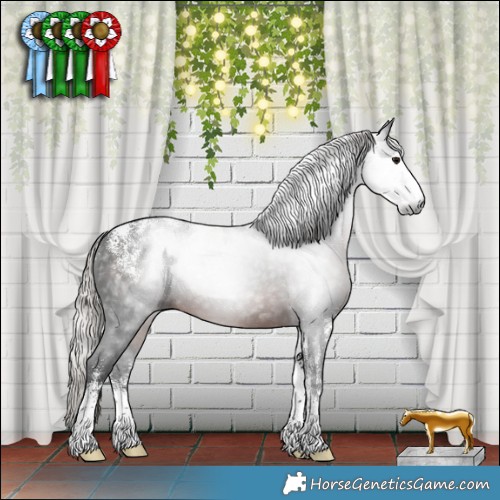 Horse Color:Powder White Gray Silver Brown 