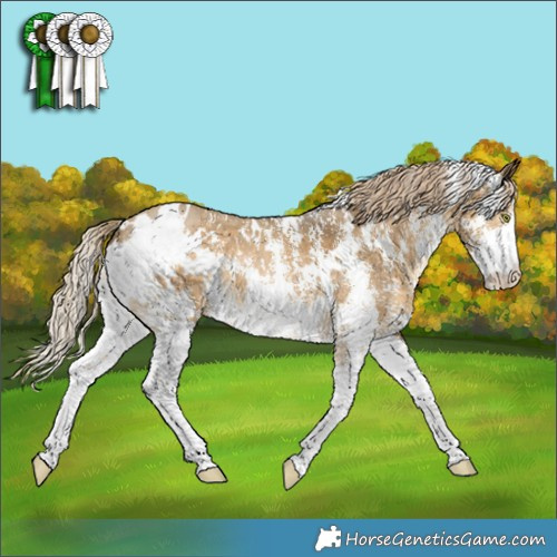 Horse Color:White Spotted Chocolate Palomino Dun Mushroom Sabino 