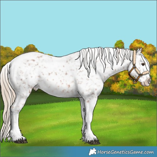 Horse Color:Chestnut Tobiano Snowflake Varnish