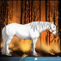 Horse Color:Gray Classic Cream Champagne Near Leopard Rabicano