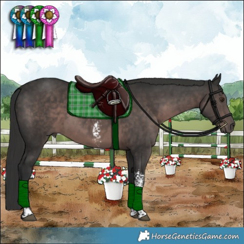 Horse Color:Platinum Liver Chestnut Sabino Tobiano