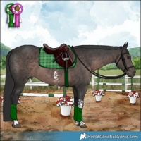Horse Color:Platinum Liver Chestnut Sabino Tobiano 
