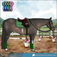 Horse Color:Platinum Liver Chestnut Sabino Tobiano 