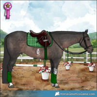 Horse Color:Platinum Liver Chestnut Sabino Tobiano