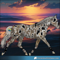 Horse Color:Plaid  Silver Grullo Ice Sabino Near Leopard 