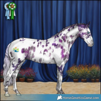 Horse Color:Watercolor Plaid Silver Bay Ice Onyx Splash Tobiano Appaloosa Rabicano