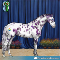 Horse Color:Watercolor Plaid Silver Bay Ice Onyx Splash Tobiano Appaloosa Rabicano
