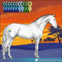 Horse Color:Liver Chestnut Chinchilla Splash 