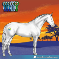 Horse Color:Liver Chestnut Chinchilla Splash 