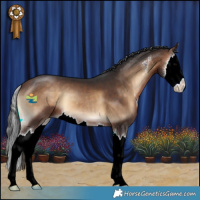 Horse Color:Bay Onyx Sabino Splash 
