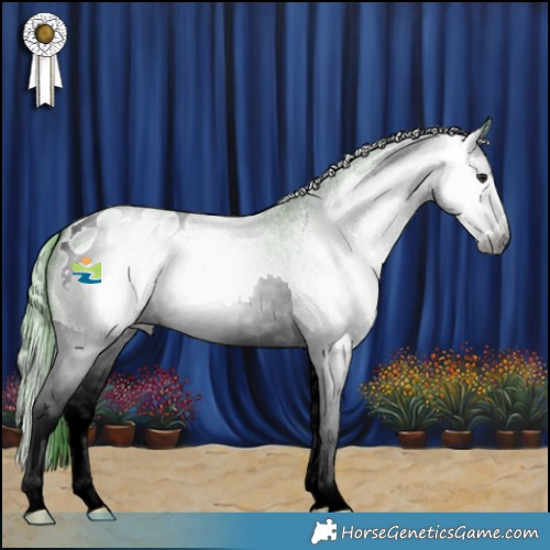 Horse Color:Gray Watercolor Blue Chinchilla Ice Roan Sabino Splash Appaloosa 