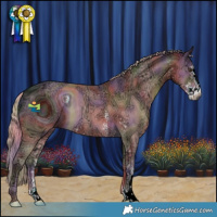 Horse Color:ERROR: UNKNOWN ANOMALY