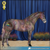 Horse Color:ERROR: UNKNOWN ANOMALY