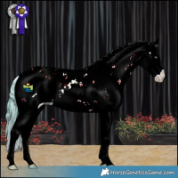 Horse Color:Watercolor Black Chinchilla Pearl Sabino Splash 