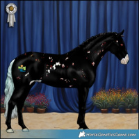 Horse Color:Watercolor Black Chinchilla Pearl Sabino Splash
