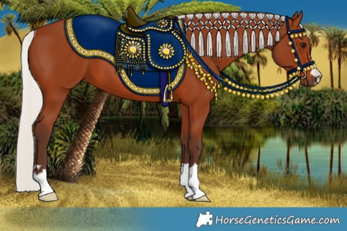 Horse Color:Silver Brown 