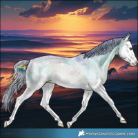 Horse Color:Painted Watercolor Silver Buckskin Ice Dun Splash 