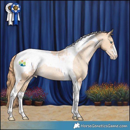 Horse Color:Smoky Black Pearl Tobiano Appaloosa Rabicano 