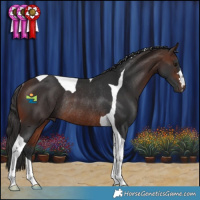 Horse Color:Brown Tobiano Rabicano 