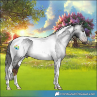 Horse Color:Gray Liver Chestnut Tobiano Rabicano 