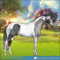 Horse Color:Gray Liver Chestnut Tobiano Rabicano 