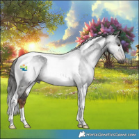 Horse Color:Gray Liver Chestnut Tobiano Rabicano 