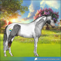 Horse Color:Gray Liver Chestnut Tobiano Rabicano