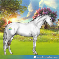 Horse Color:Gray Liver Chestnut Tobiano Rabicano 