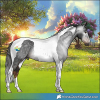 Horse Color:Gray Liver Chestnut Tobiano Rabicano