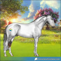 Horse Color:Gray Liver Chestnut Tobiano Rabicano