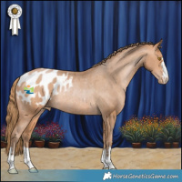 Horse Color:Bay Pearl Blanket Rabicano