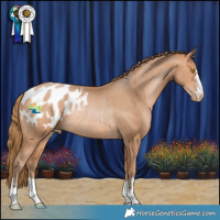 Horse Color:Bay Pearl Blanket Rabicano