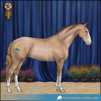 Horse Color:Black Pearl Appaloosa Rabicano