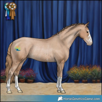 Horse Color:Black Pearl Varnish Rabicano 