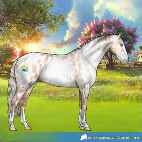 Horse Color:Gray Palomino Pearl Appaloosa Rabicano 