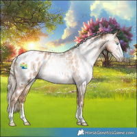 Horse Color:Gray Palomino Pearl Appaloosa Rabicano 