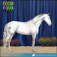 Horse Color:Gray Palomino Pearl Near Leopard Rabicano 