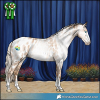 Horse Color:Gray Palomino Pearl Appaloosa Rabicano 
